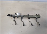  Рампа (рейка) топливная Mercedes Vito W639 2004-2013 20319547 #1