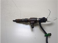 1791017, 2079589, AV6Q9F593AD Форсунка топливная Ford Focus 3 2011-2015 20319757 #1