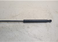  Амортизатор капота Chrysler 300C 2011- 20317805 #2
