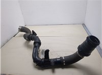  Патрубок интеркулера Renault Trafic 2014-2021 20319813 #1