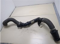  Патрубок интеркулера Renault Trafic 2014-2021 20319813 #4