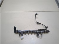  Рампа (рейка) топливная Audi A4 (B8) 2007-2011 20319931 #1