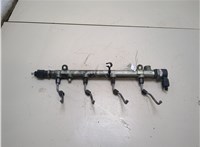  Рампа (рейка) топливная Mercedes Vito W639 2004-2013 20320416 #1