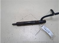  Форсунка топливная Ford Transit (Tourneo) Connect 2002-2013 20320463 #1
