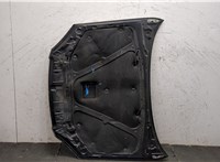  Капот Daewoo Lacetti 20320724 #17