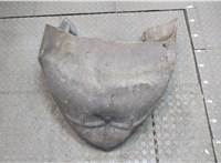  Защита арок (подкрылок) Renault Scenic 2003-2009 20320733 #2