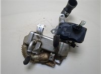  Охладитель отработанных газов Renault Trafic 2014-2021 20320883 #1