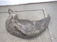  Защита арок (подкрылок) Renault Scenic 2003-2009 20320950 #2