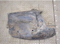  Защита арок (подкрылок) Renault Scenic 2003-2009 20321089 #1