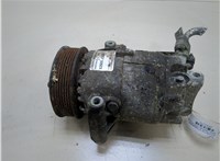  Компрессор кондиционера Nissan Qashqai 2006-2013 20321379 #1