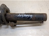 5N0413031AP Амортизатор подвески Volkswagen Tiguan 2011-2016 20321504 #3