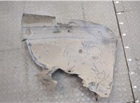 Защита арок (подкрылок) Renault Scenic 2003-2009 20321791 #2
