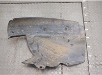  Защита арок (подкрылок) Renault Scenic 2003-2009 20321839 #2