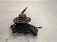  Ступица (кулак, цапфа) Mercedes CLK W209 2002-2009 20321849 #1
