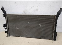  Радиатор охлаждения двигателя Renault Laguna 3 2007- 20321856 #2
