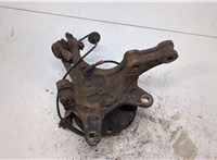  Ступица (кулак, цапфа) Hyundai H-1 Starex 2007-2015 20321875 #2