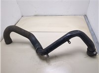  Патрубок интеркулера Audi A6 (C5) 1997-2004 20322501 #2