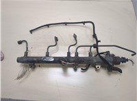  Рампа (рейка) топливная Hyundai Santa Fe 2000-2005 20323489 #1