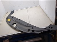  Накладка замка капота Lexus CT 2010-2014 20321996 #1
