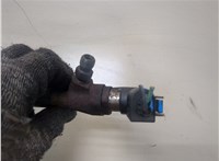  Форсунка топливная Ford Transit (Tourneo) Connect 2002-2013 20324518 #2
