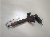  Форсунка топливная Ford Transit (Tourneo) Connect 2002-2013 20324520 #1