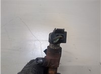  Форсунка топливная Ford Transit (Tourneo) Connect 2002-2013 20324520 #2
