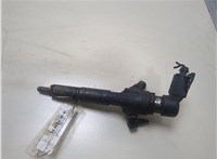  Форсунка топливная Ford Transit (Tourneo) Connect 2002-2013 20324522 #1