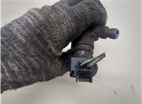 Форсунка топливная Ford Transit (Tourneo) Connect 2002-2013 20324522 #2