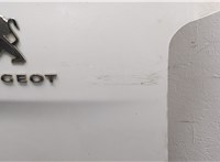  Дверь задняя (распашная) Peugeot Expert 2016-2025 20324599 #2