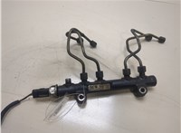  Рампа (рейка) топливная Ford Fiesta 2008-2013 20325299 #1
