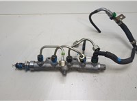 9821399680 Рампа (рейка) топливная Peugeot 2008 2019-2023 20325765 #1