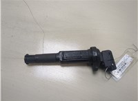 12138616153 Катушка зажигания BMW 3 E46 1998-2005 20325996 #1