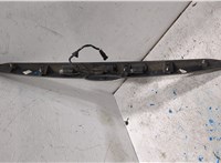 5105886, 1708809 Подсветка номера Ford Focus 2 2008-2011 20326111 #1
