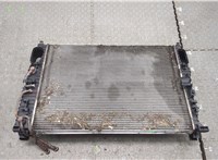  Радиатор охлаждения двигателя Mercedes CLS C219 2004-2010 20326345 #2