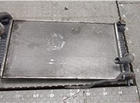  Радиатор охлаждения двигателя Ford C-Max 2002-2010 20326382 #1