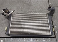  Радиатор интеркулера Audi TT (8J) 2006-2010 20326587 #1
