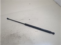  Амортизатор капота Bentley Continental GT 2003-2011 20327273 #1