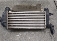  Радиатор интеркулера Ford EcoSport 2017- 20327345 #2