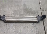 Радиатор интеркулера Mercedes CLS C219 2004-2010 20327385 #1