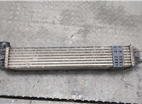  Радиатор интеркулера Renault Laguna 3 2007- 20327399 #4