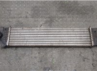  Радиатор интеркулера Ford Mondeo 5 2015- 20327410 #1