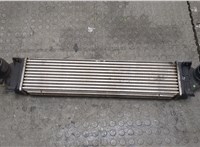  Радиатор интеркулера Volkswagen Golf 4 1997-2005 20327568 #1