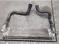  Радиатор интеркулера Nissan Qashqai 2006-2013 20327596 #1