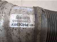  Амортизатор подвески Mercedes S W220 1998-2005 20327733 #4