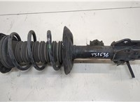  Амортизатор подвески Toyota C-HR 20327947 #1