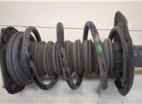  Амортизатор подвески Toyota C-HR 20327948 #3