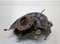  Ступица (кулак, цапфа) Volkswagen Tiguan 2011-2016 20328129 #1