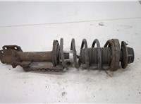  Амортизатор подвески Chevrolet Lacetti 20328930 #1
