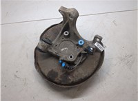  Ступица (кулак, цапфа) Audi A6 (C6) 2004-2011 20329132 #3
