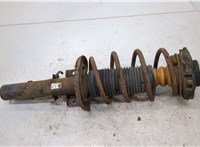  Амортизатор подвески Skoda Fabia 2007-2010 20329136 #1